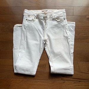 Vanilla Star Sz 11 flair Stretch Denim